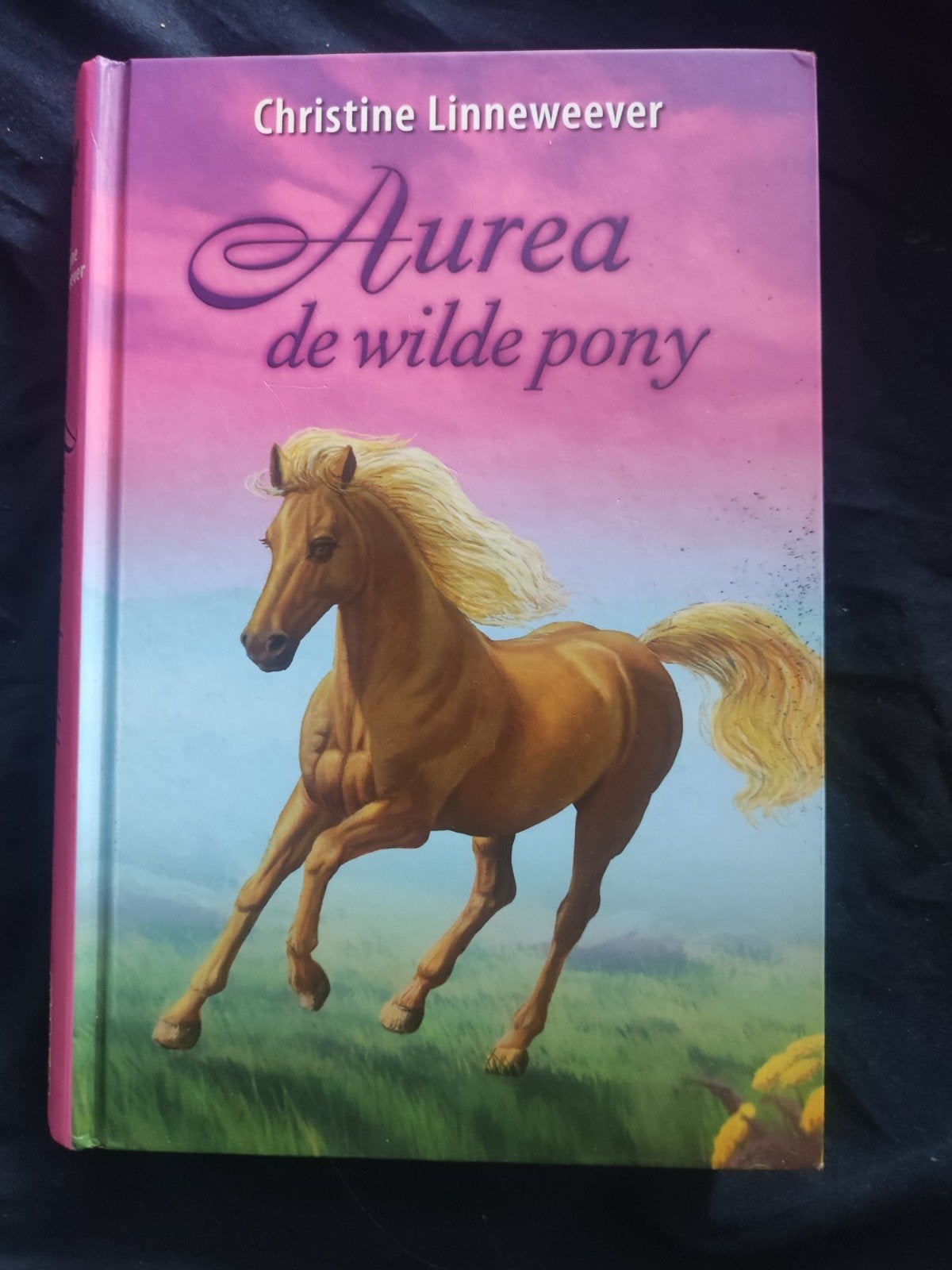 Christine Linneweever - Aurea de wilde pony, Boeken, Ophalen of Verzenden, Zo goed als nieuw, Christine Linneweever