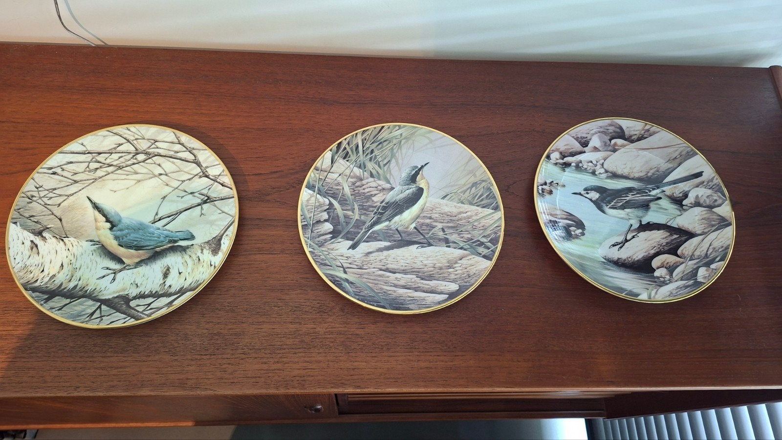 Wedgwood RSPB Centenary Plate Collection - Vogels, Antiek en Kunst, Ophalen of Verzenden