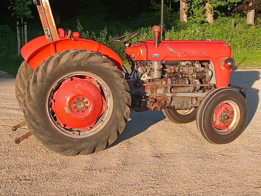 Massey Ferguson 35X, Ophalen, Oldtimer, Tot 80 Pk, 5000 tot 7500