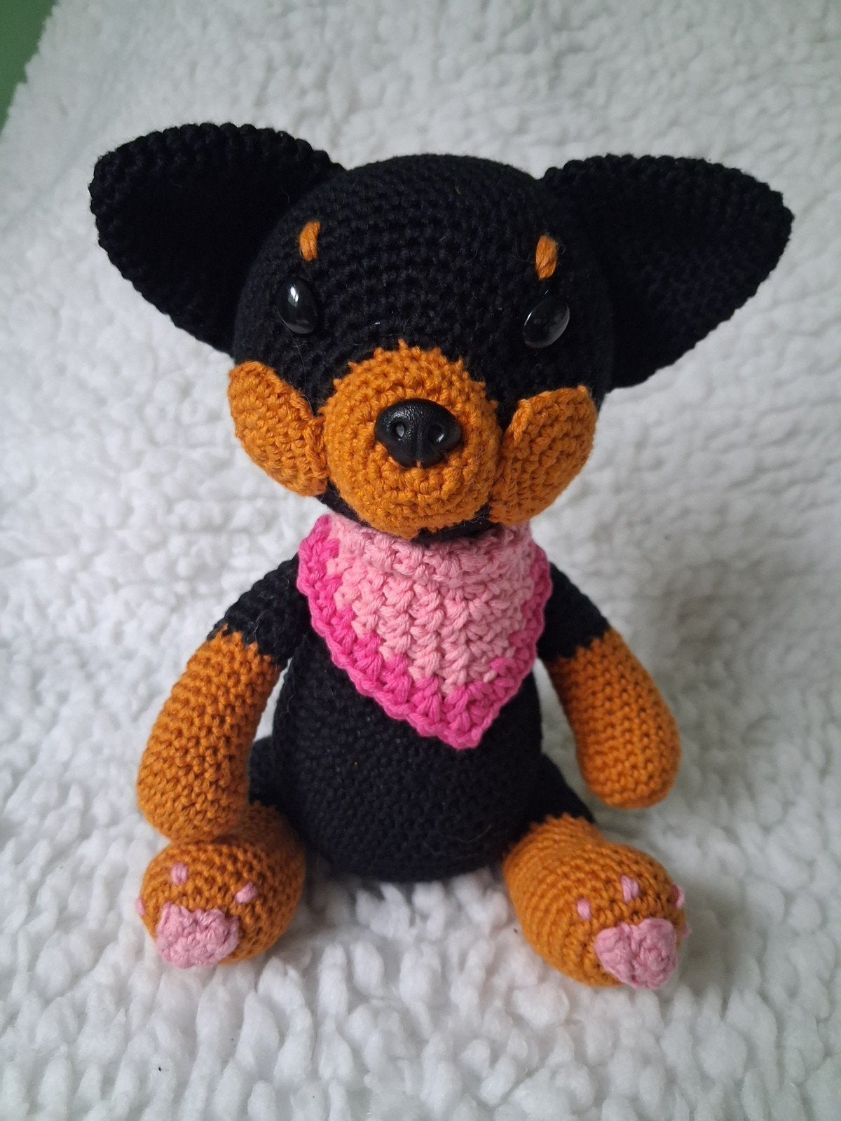 chihuahua, Ophalen of Verzenden, Nieuw, Hond