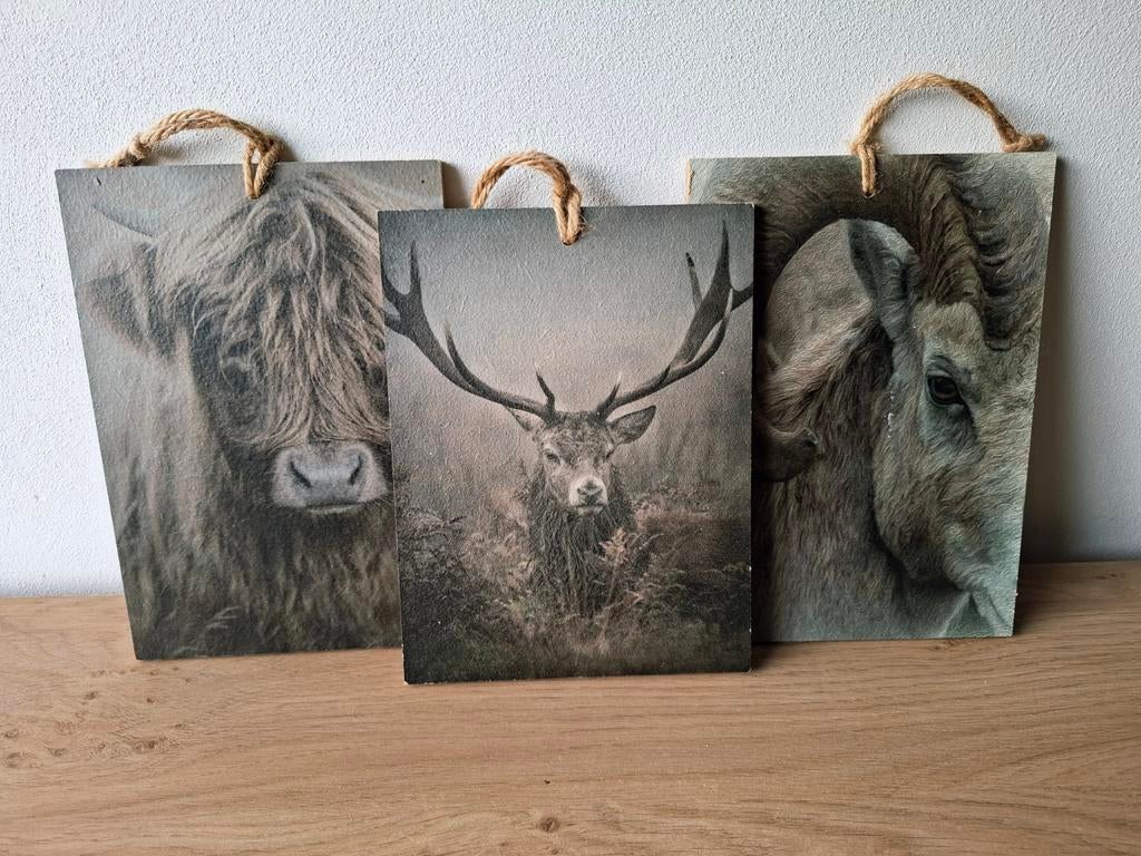 Set van 3 landelijke kleine wandbordjes koe, hert, bok, Huis en Inrichting, Minder dan 50 cm, Ophalen of Verzenden, Zo goed als nieuw