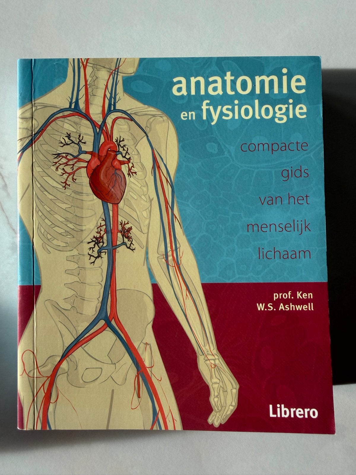 Anatomie en Fysiologie - Compacte Gids Menselijk Lichaam, Ophalen of Verzenden, Zo goed als nieuw, Natuurwetenschap
