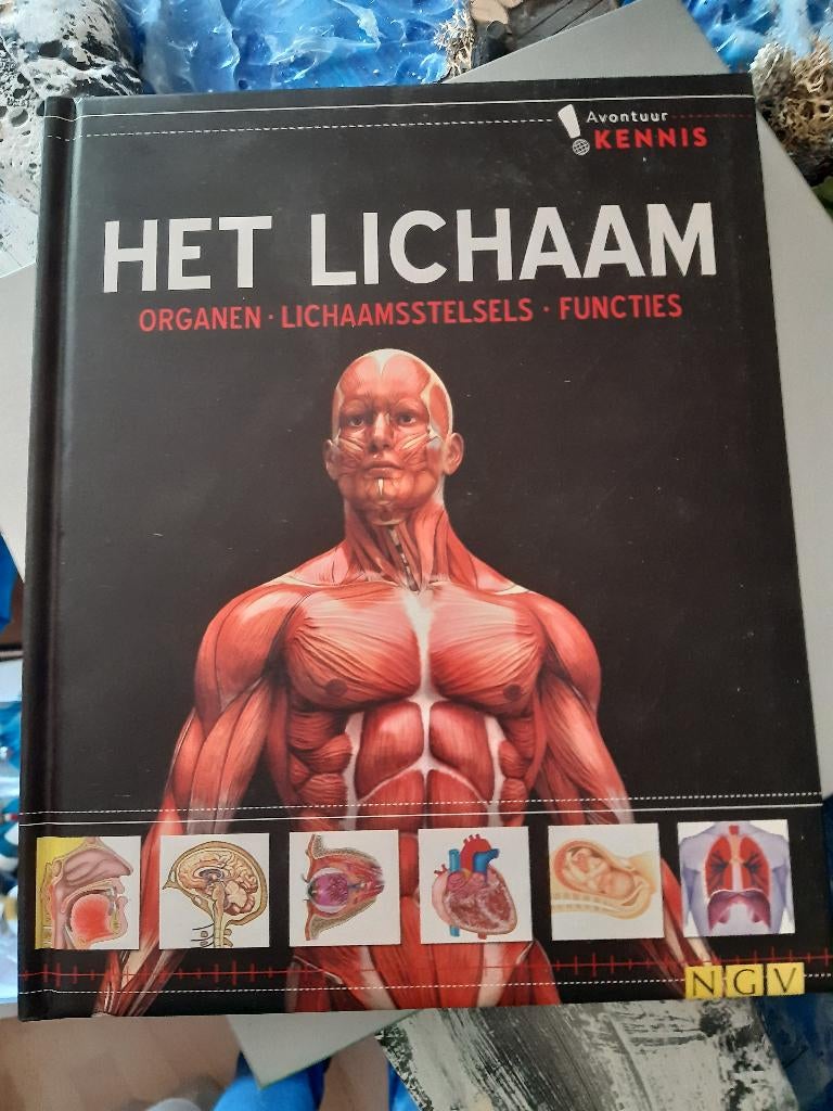 Het lichaam (Z217-70), Ophalen of Verzenden, Zo goed als nieuw