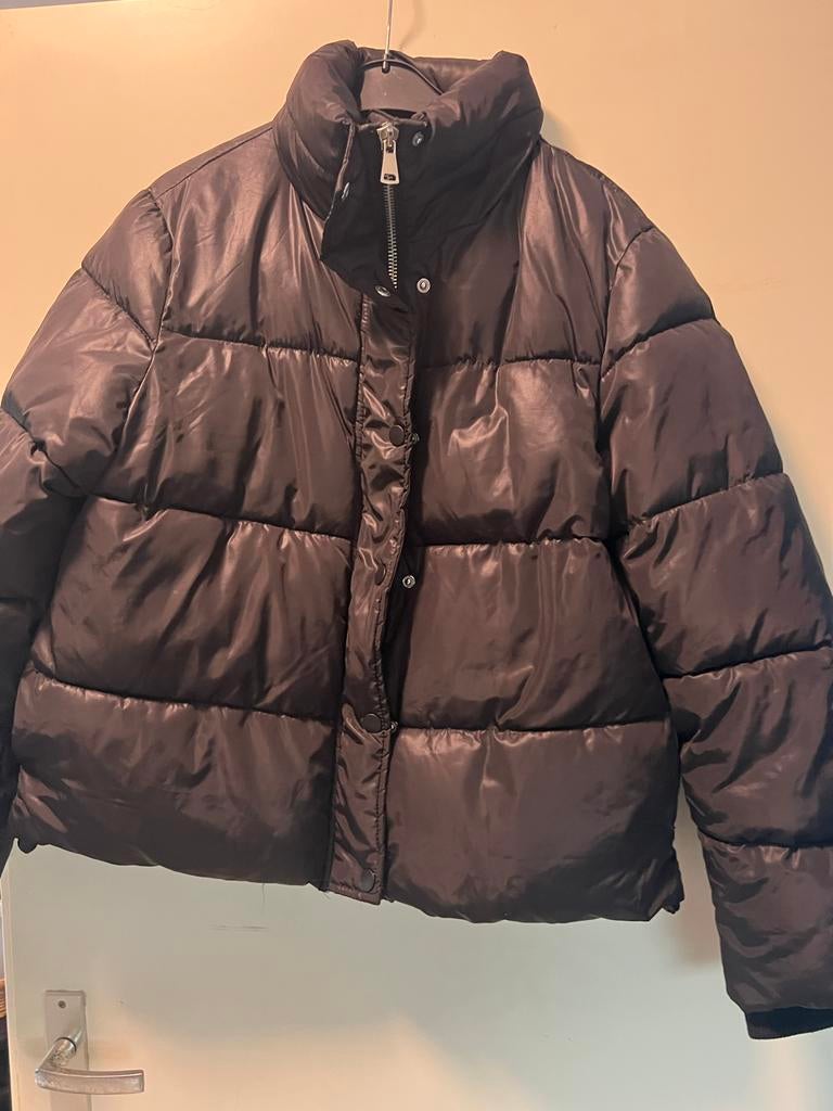 Mooie jas, Kleding | Dames, Jassen | Winter, Ophalen of Verzenden, Zo goed als nieuw, Maat 38/40 (M), Zwart