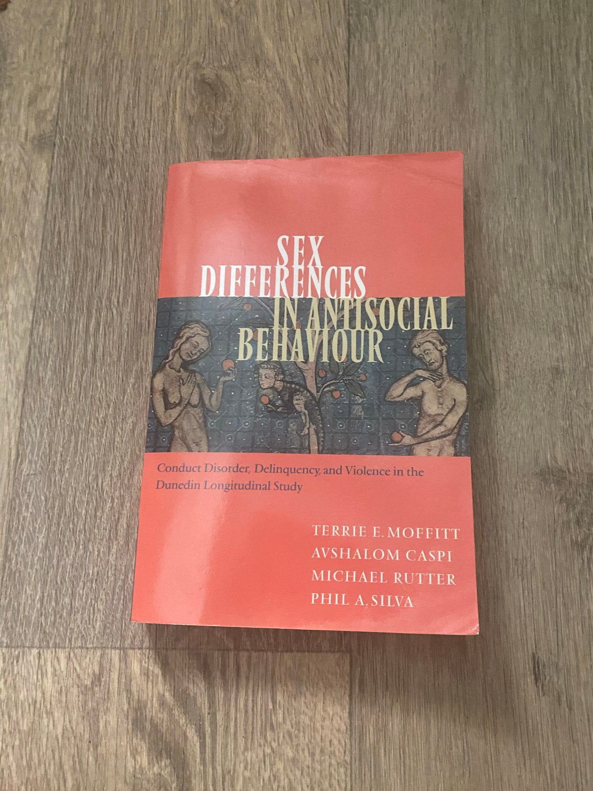 Sex Differences in Antisocial Behaviour - Studieboek, Boeken, Ophalen of Verzenden, Gamma, Gelezen, WO
