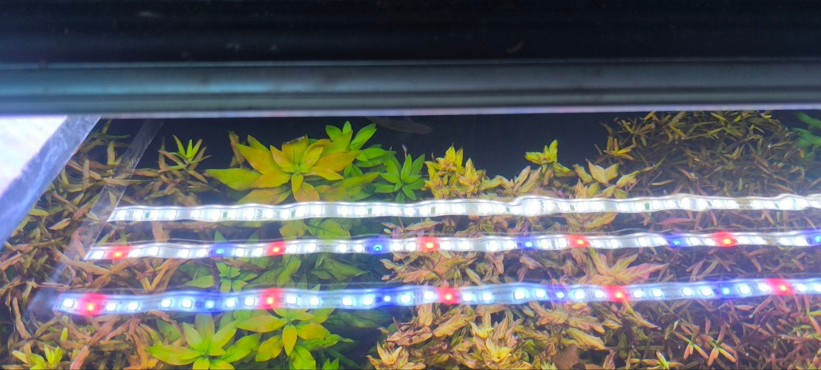 High tech aquariumlicht 3x daytime onex 120 voor bijv. Juwel, Dieren en Toebehoren, Ophalen, Verlichting of Verwarming, Overige merken
