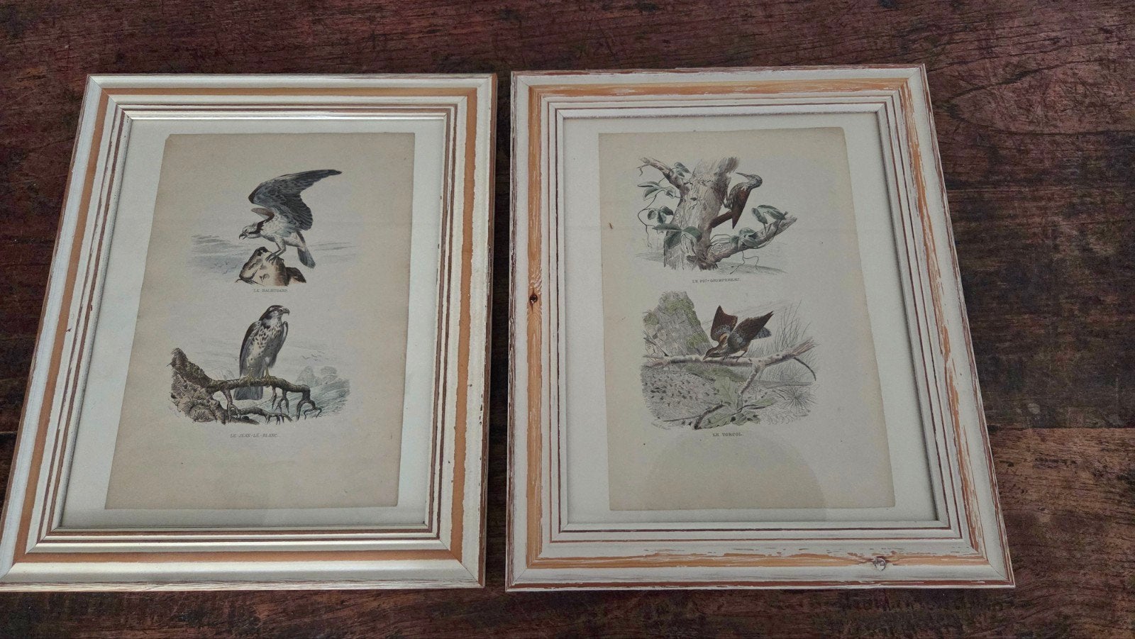 2 Gesigneerde en ingekleurde Franse tekeningen van vogels, Antiek en Kunst, Ophalen of Verzenden