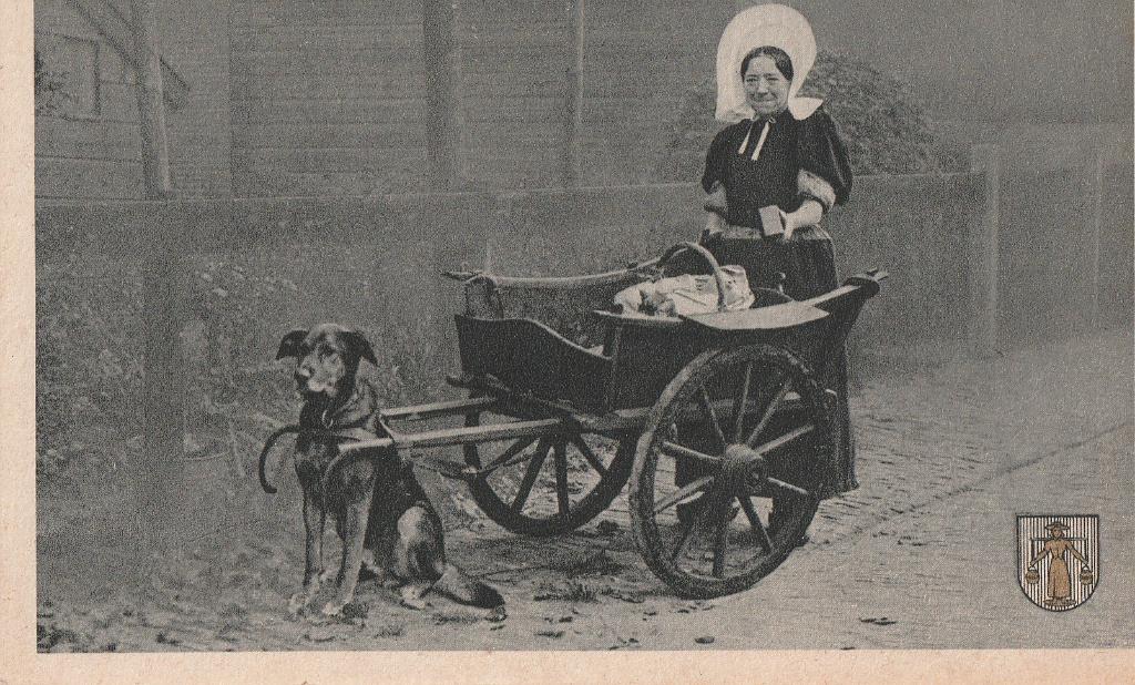 HUIZEN GOOI  HONDENKAR   met vrouw in   klederdracht nr 1490, Verzenden, Voor 1920, Ongelopen, Hond of Kat