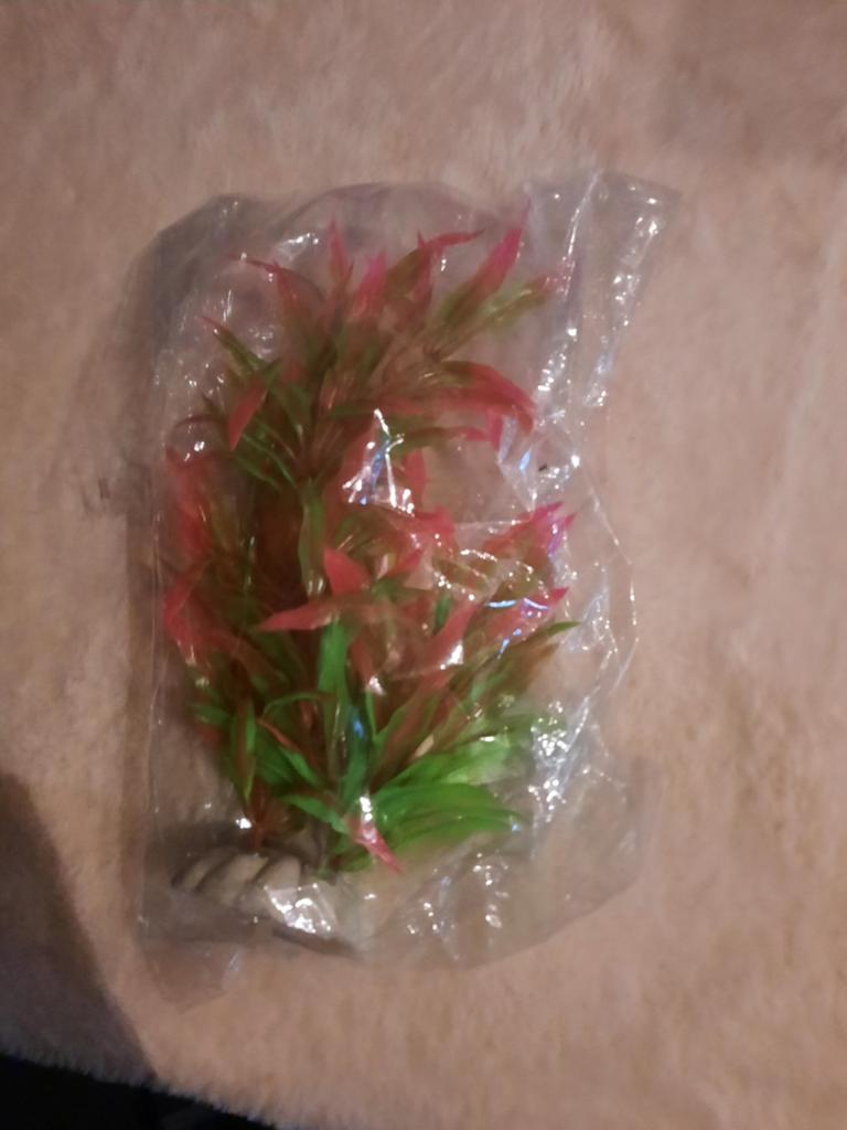 Nep plantje voor aquarium, Dieren en Toebehoren, Ophalen of Verzenden, Plant(en), Steen of Hout