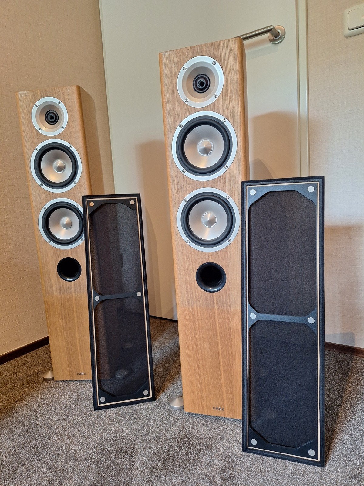 AE Radiance Two Vloerstaande Luidsprekers - Topstaat, Vloerstaande luidspreker, Zo goed als nieuw, Basreflex, Ophalen