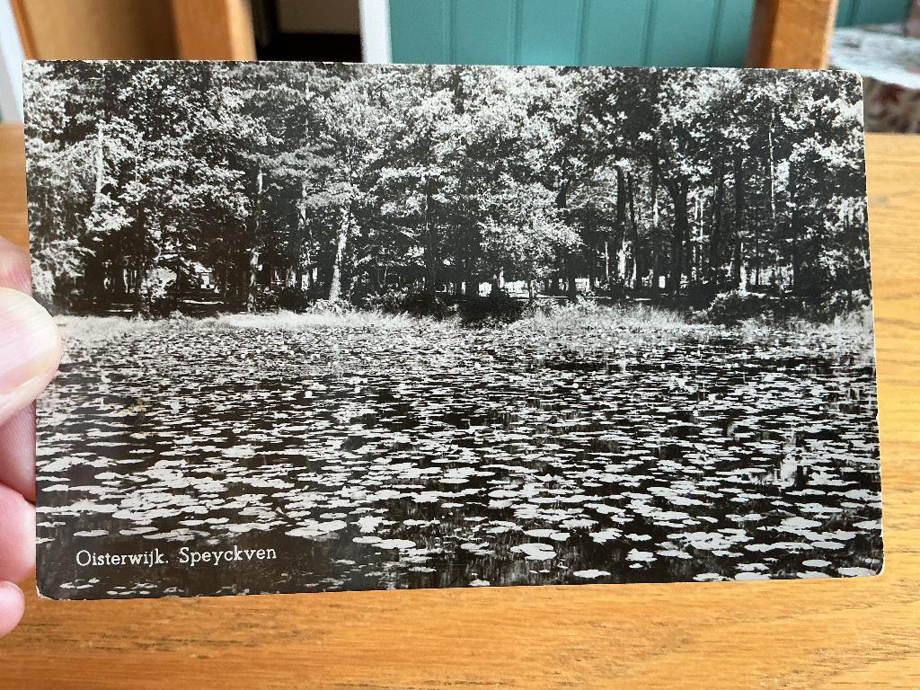 Oisterwijk Speyckven, Verzenden, 1940 tot 1960, Gelopen, Noord-Brabant