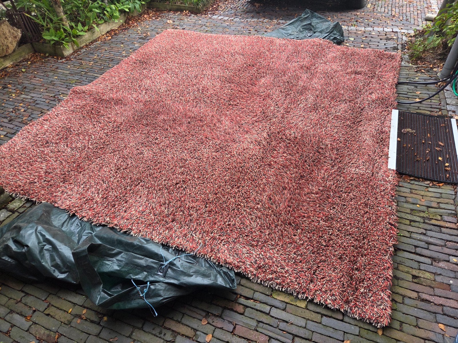 Groot wollen vloerkleed - Kinast Woodland (300x315 cm)