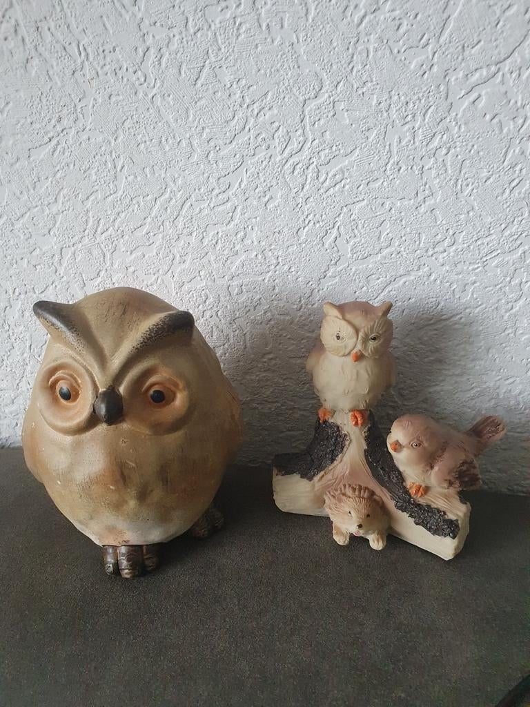 Uilen, Gebruikt, Ophalen of Verzenden, Landelijk, Bruin