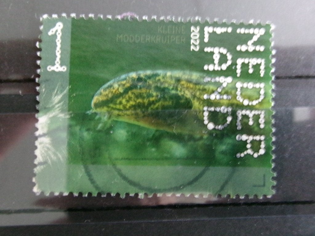 2022 - beleef de natuur kleine modderkruiper (939f), Verzenden, Gestempeld