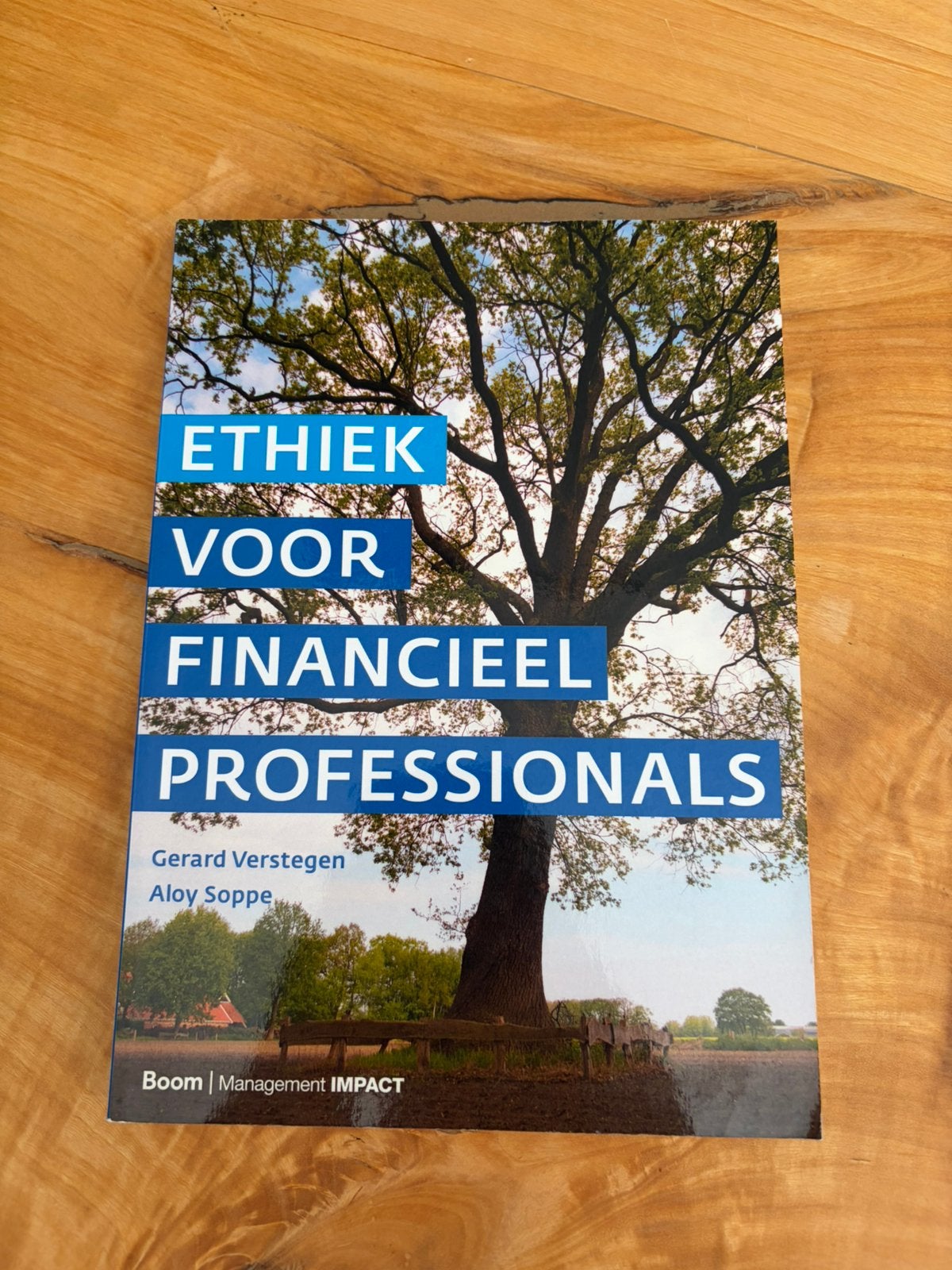 Aloy Soppe - Ethiek voor financieel professionals, Sociale wetenschap, Ophalen of Verzenden, Zo goed als nieuw, Aloy Soppe; Gerard Verstegen