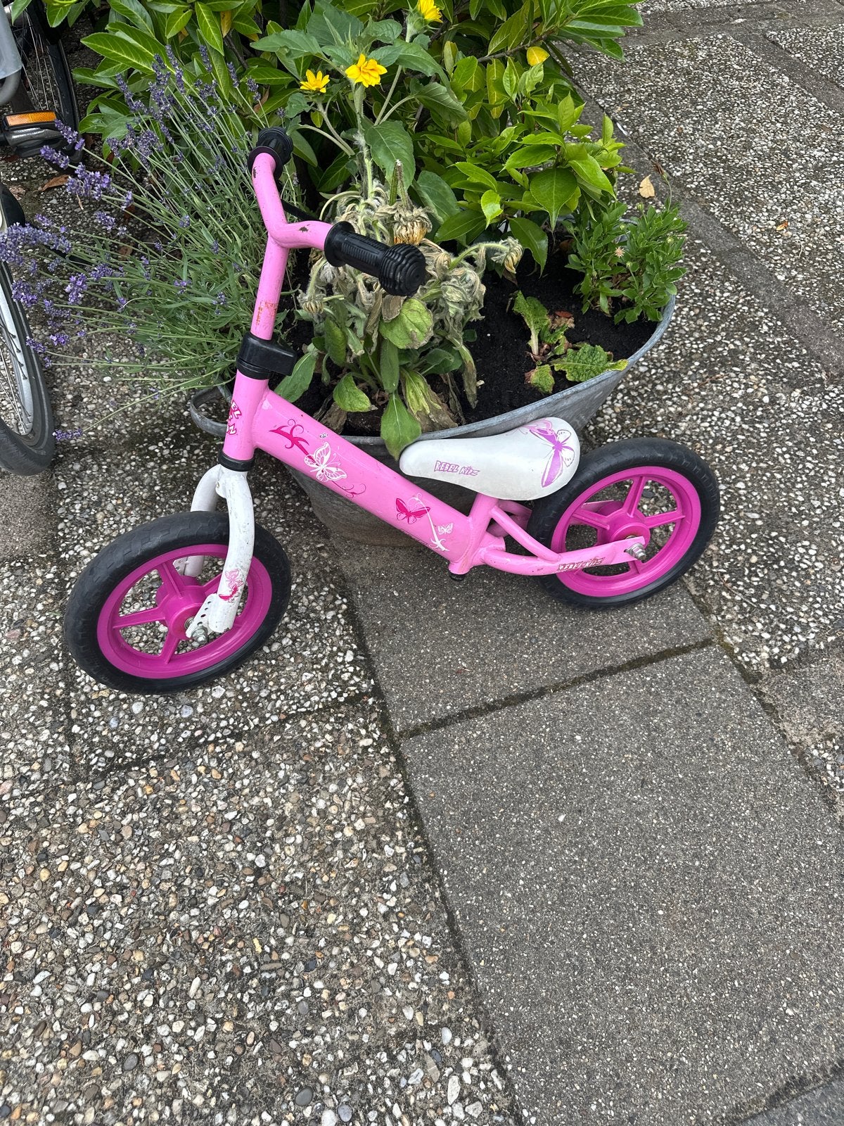 Roze Rebel Kidz loopfiets voor kinderen, Fietsen en Brommers, Ophalen, Gebruikt, Minder dan 16 inch