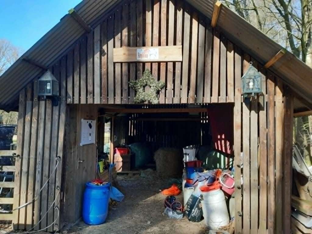 Hooi/kapschuur +3 buitenstallen(wolfproof), Dieren en Toebehoren, 2 of 3 paarden of pony's