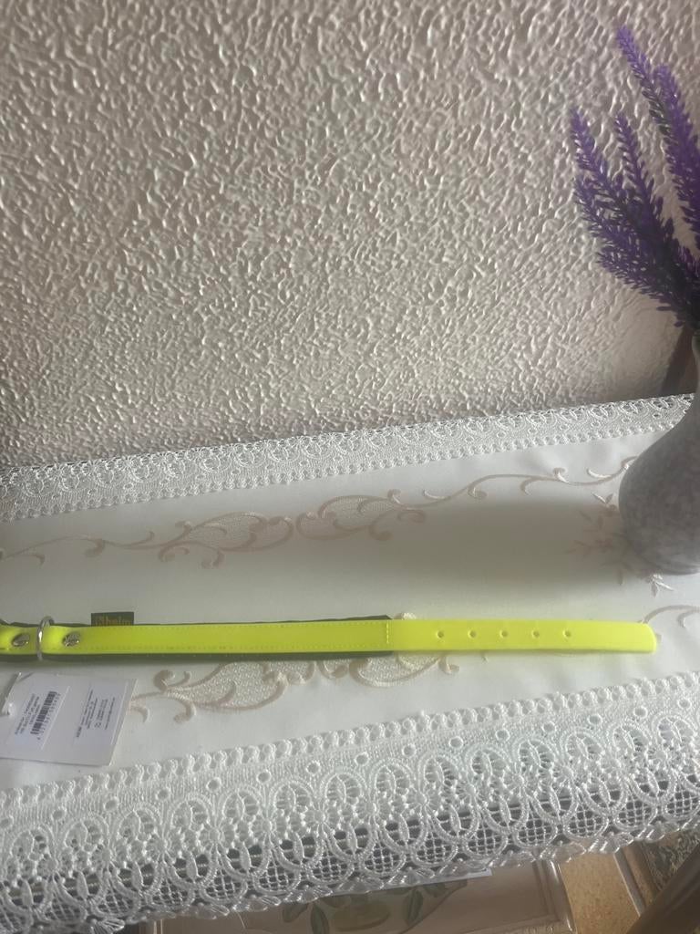 Honden halsbandje, Ophalen of Verzenden, Zo goed als nieuw