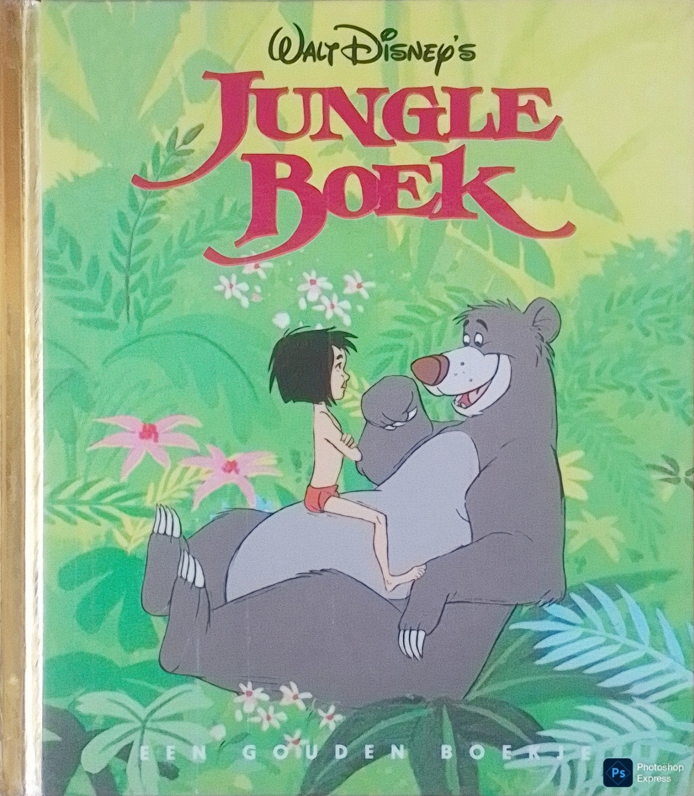 Jungle Boek, Boeken, Gelezen, Fictie algemeen, Jongen of Meisje, Ophalen of Verzenden