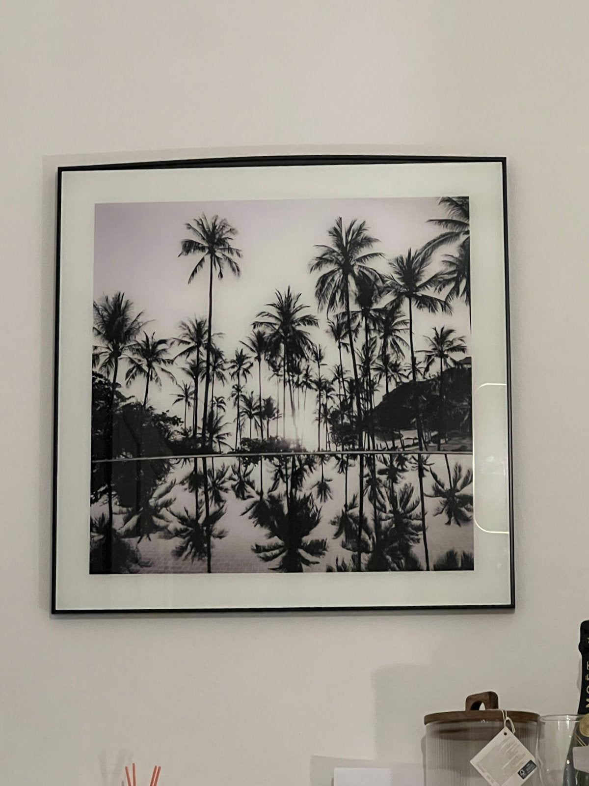 Zwart-wit foto van palmbomen met reflectie, 50 – 75, Ophalen of Verzenden, Zo goed als nieuw, Foto of Poster
