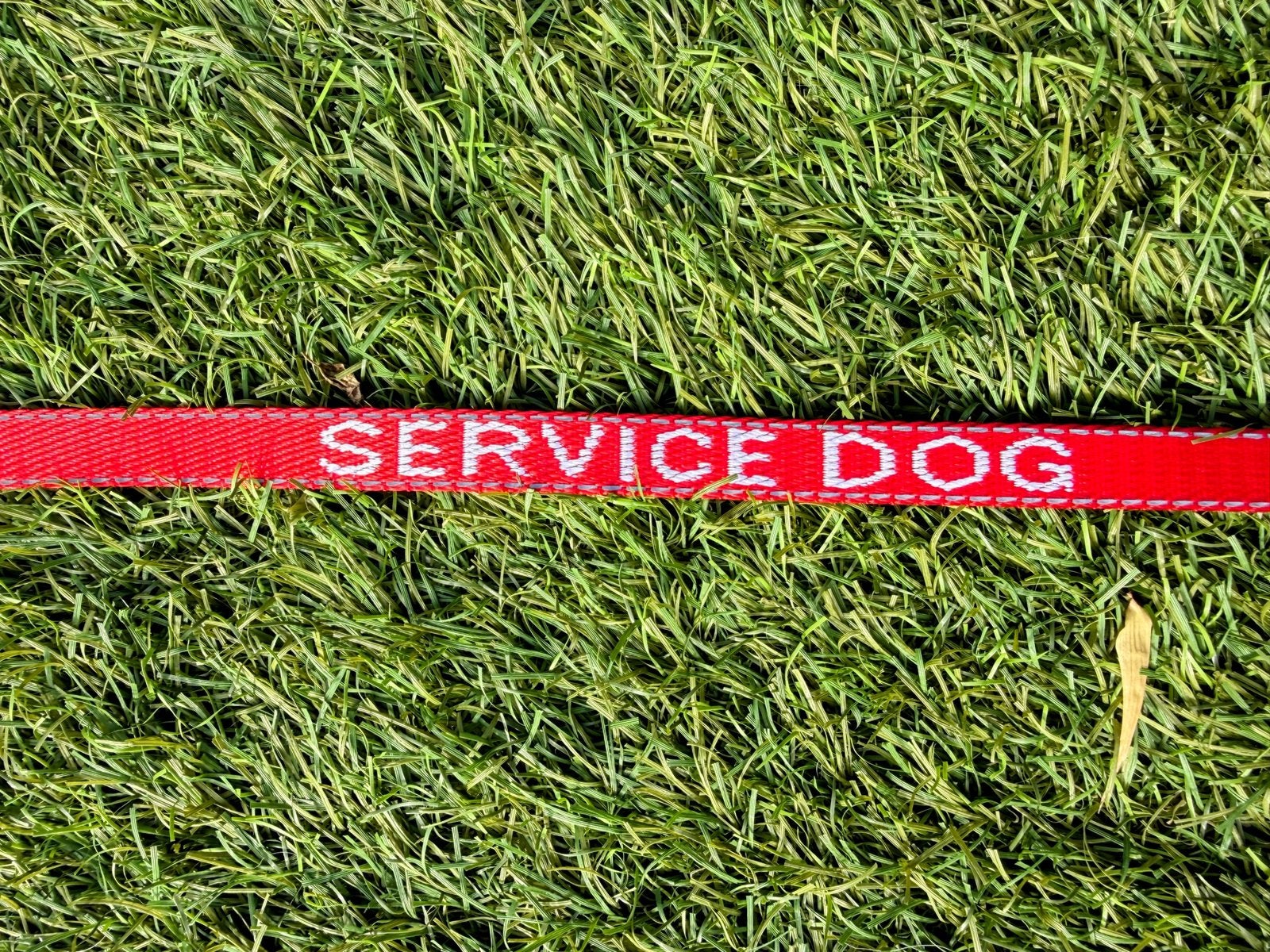 Reflecterende Service Dog hondenlijn / riem – 2,4m, Ophalen of Verzenden, Nieuw, Hondenriem