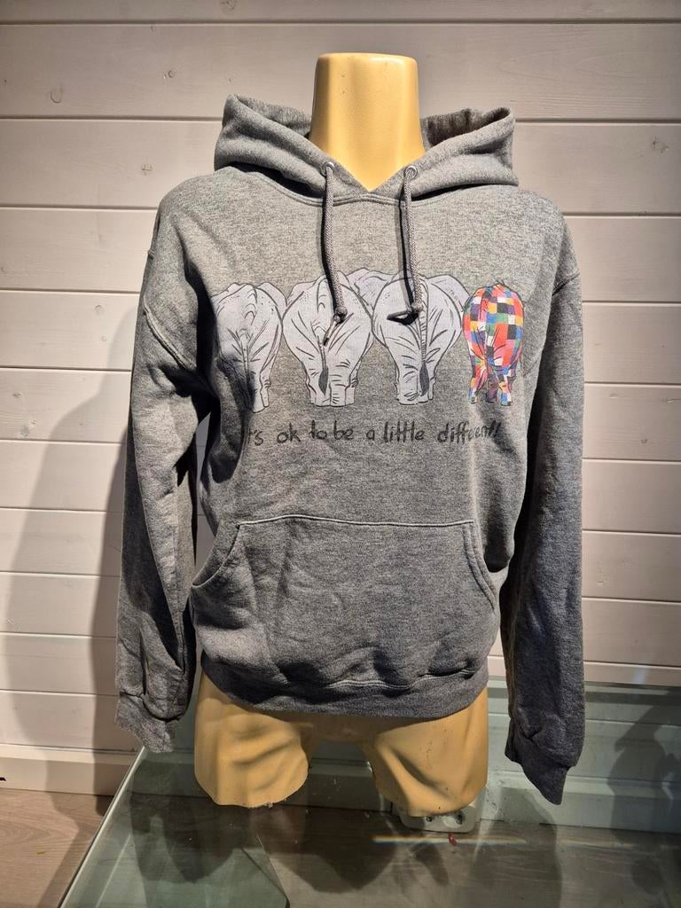 JERZEES trui met opdruk maat S (36), Kleding | Dames, Ophalen of Verzenden, Zo goed als nieuw, Maat 36 (S), Grijs
