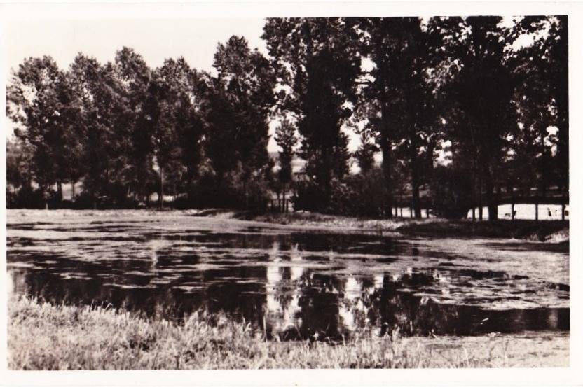 Gulpen forellenkwekerij Oude Gelopen Ansichtkaart (B1769, Ophalen of Verzenden, 1960 tot 1980, Gelopen, Limburg