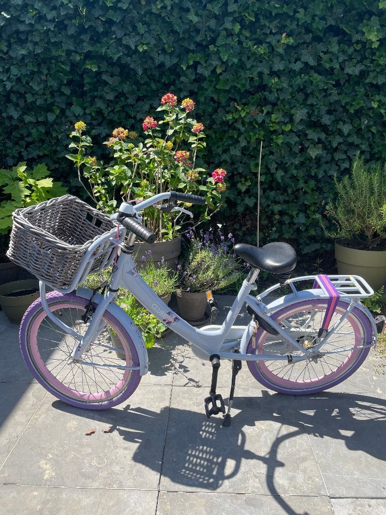 Alpina Clubb 20 inch fiets voor meisjes, Ophalen, Terugtraprem, Gebruikt, Alpina