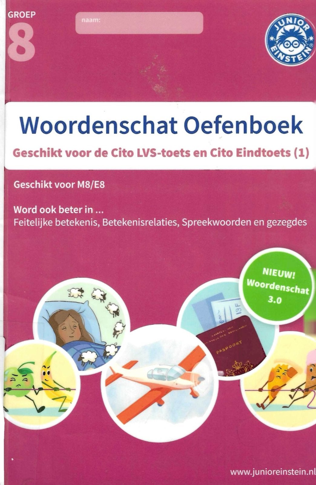 Woordenschat Oefenboek Groep 8 - PDF, Boeken, Schoolboeken, Ophalen, Zo goed als nieuw, Overige niveaus, Nederlands