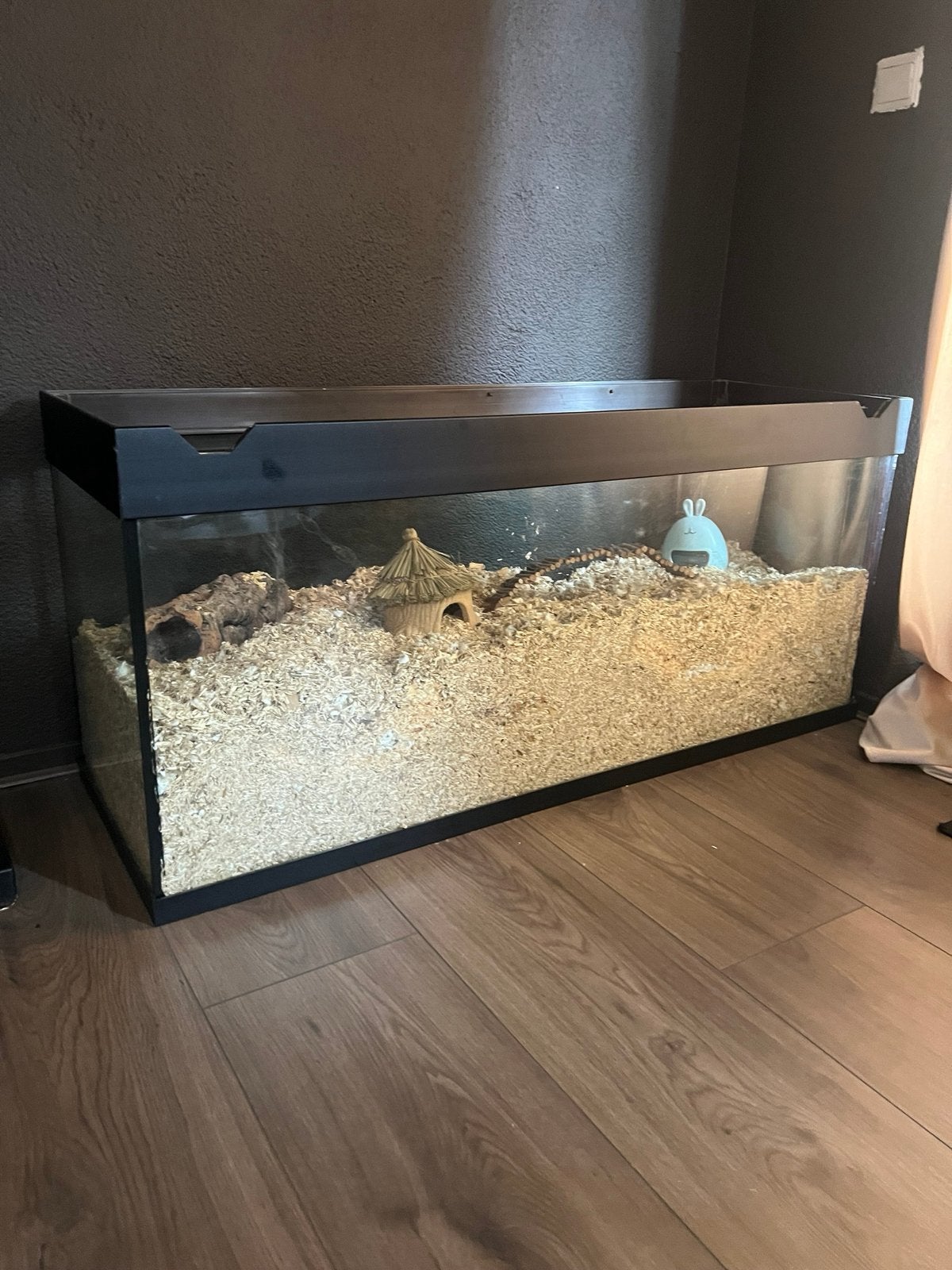 Hamsterkooi/terrarium, Ophalen, Zo goed als nieuw, Overige typen