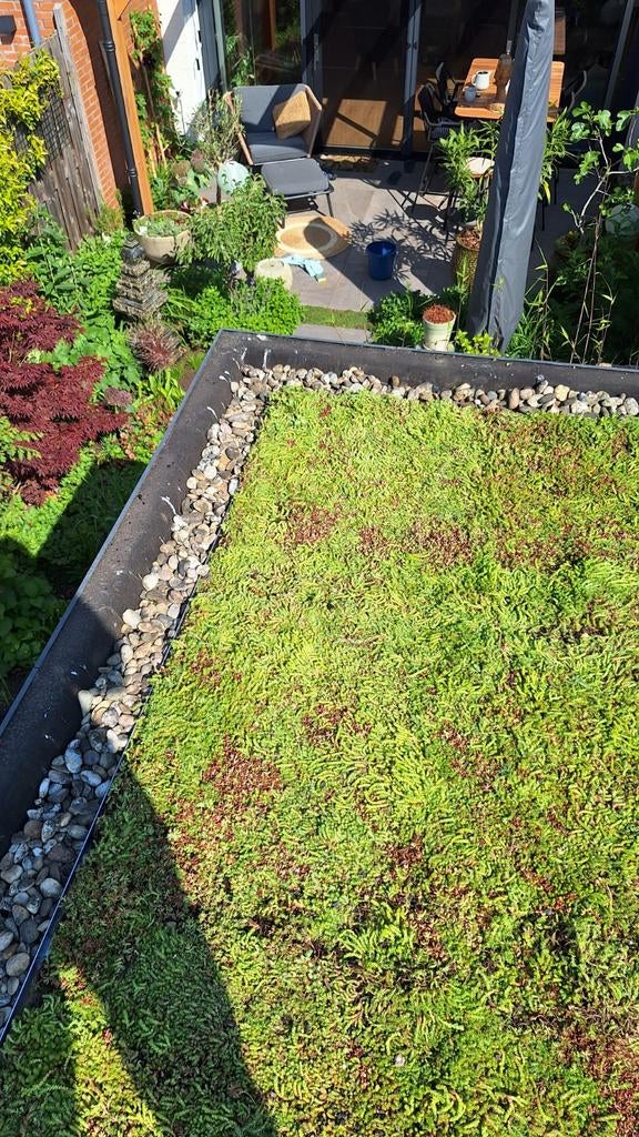 Sedum reststuk, Tuin en Terras, Ophalen