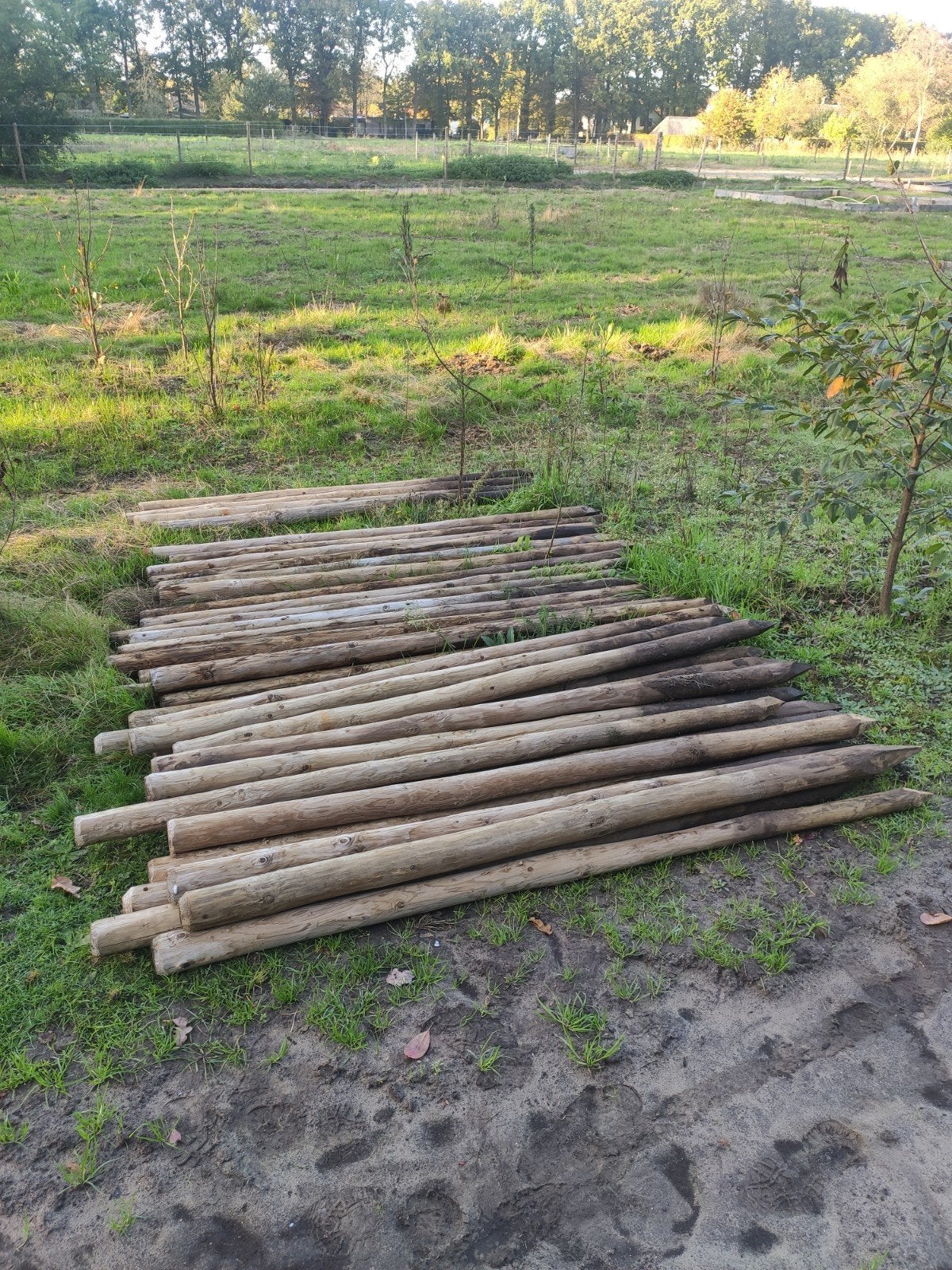 Weidepaaltjes omheining omheiningspaaltjes weide afrastering