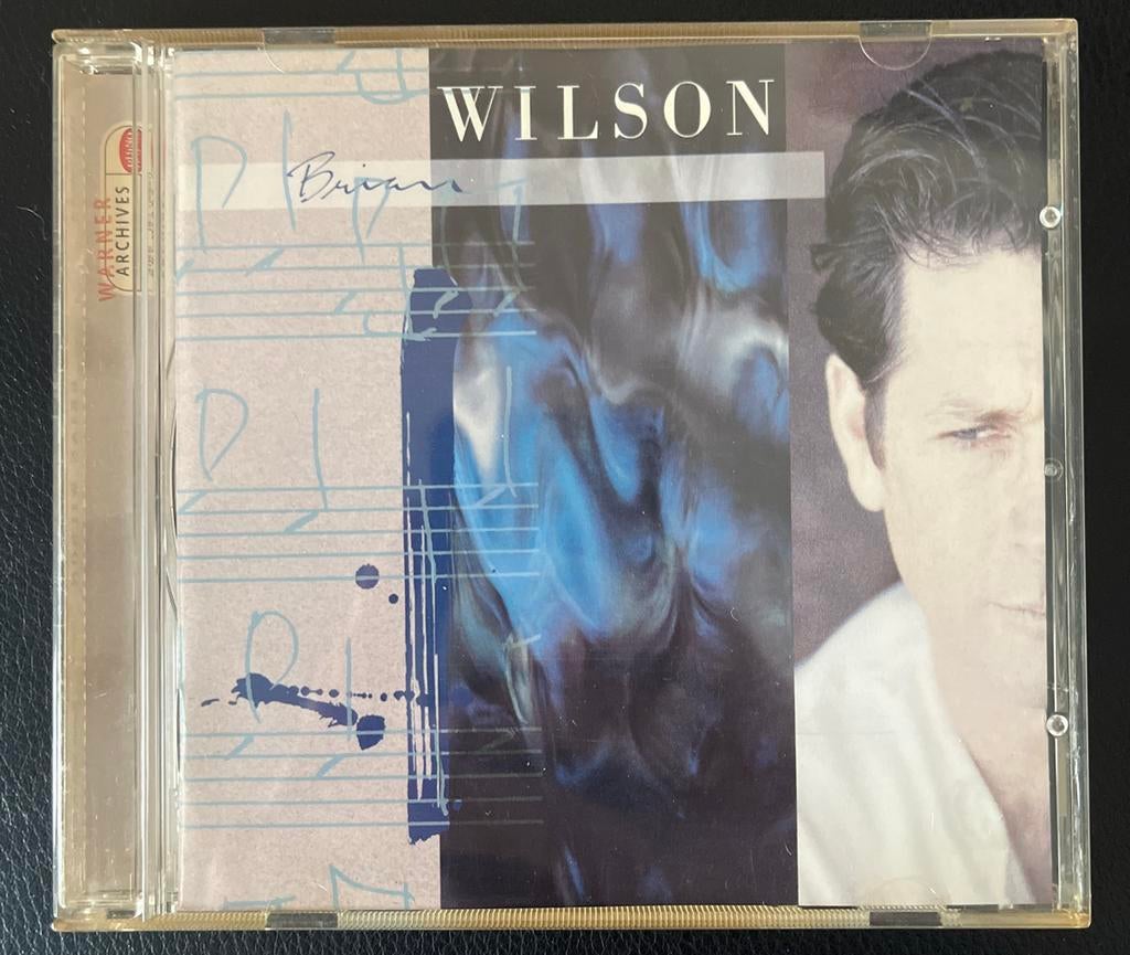 Brian Wilson - Brian Wilson CD, Ophalen of Verzenden, Gebruikt