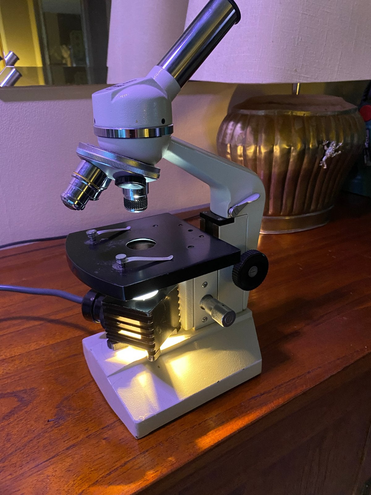 Goed werkende Euromex microscoop, klaar voor gebruik, Audio, Tv en Foto, Optische apparatuur | Microscopen, Verzenden, Gebruikt
