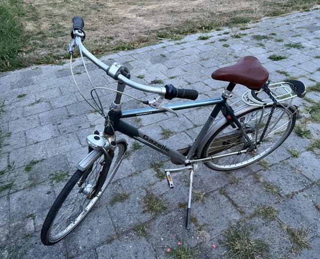 Gazelle stadsfiets - Comfortabel en betrouwbaar, Fietsen en Brommers, Ophalen, Gebruikt, Velgrem, Versnellingen