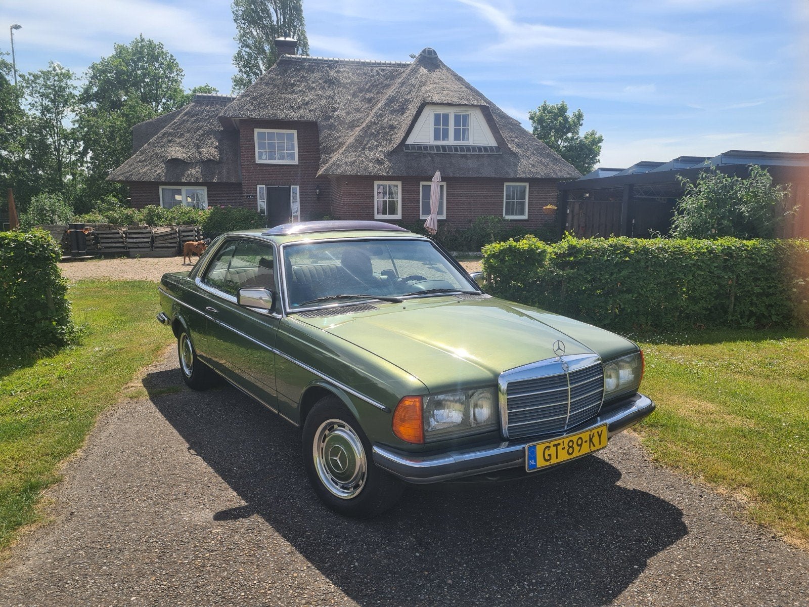Mercedes-Benz 200-Serie 2.7 280 C AUT 1980 Groen, Automaat, 179 pk, Particulier, 2746 cc