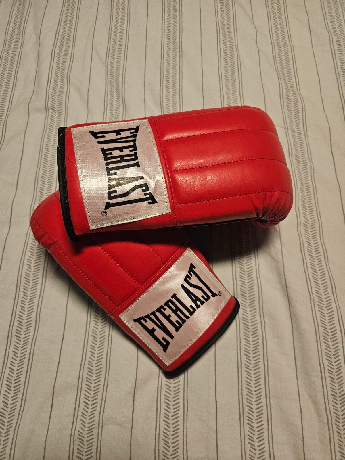 Everlast boxhandschoenen.., Ophalen of Verzenden, Zo goed als nieuw, Overige