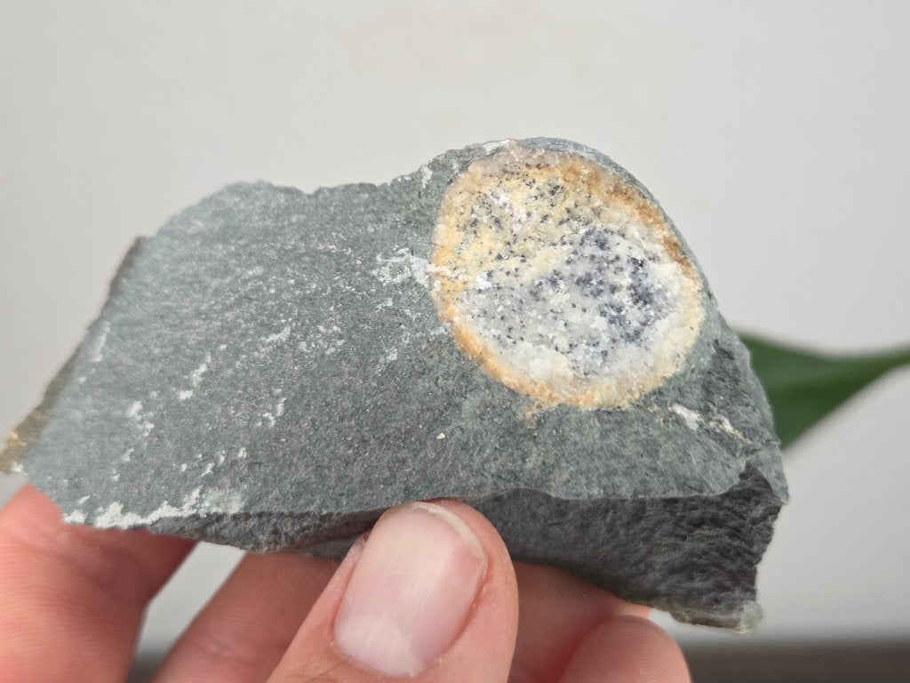 Agaat Idar oberstein, Ophalen of Verzenden, Mineraal
