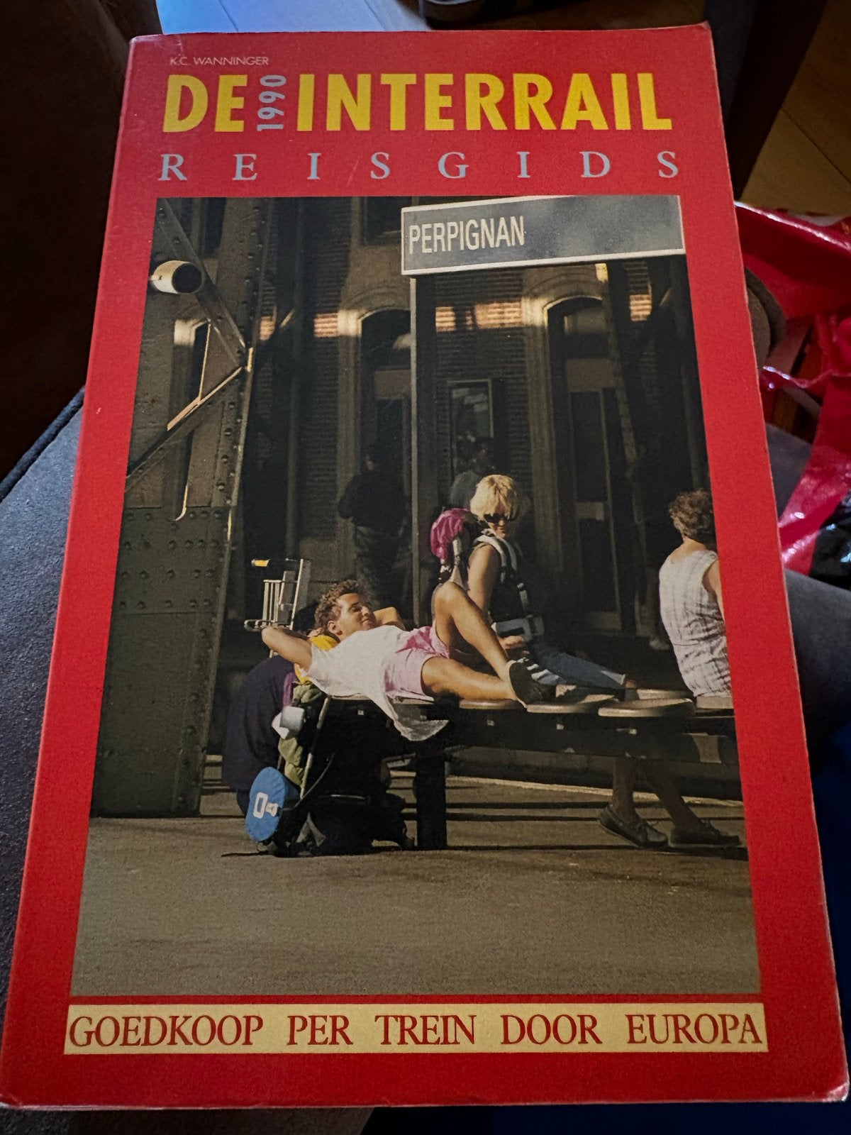 De Interrail Reisgids 1990 - Goedkoop per trein door Europa, Budget, Europa, Ophalen of Verzenden, Reisgids of -boek