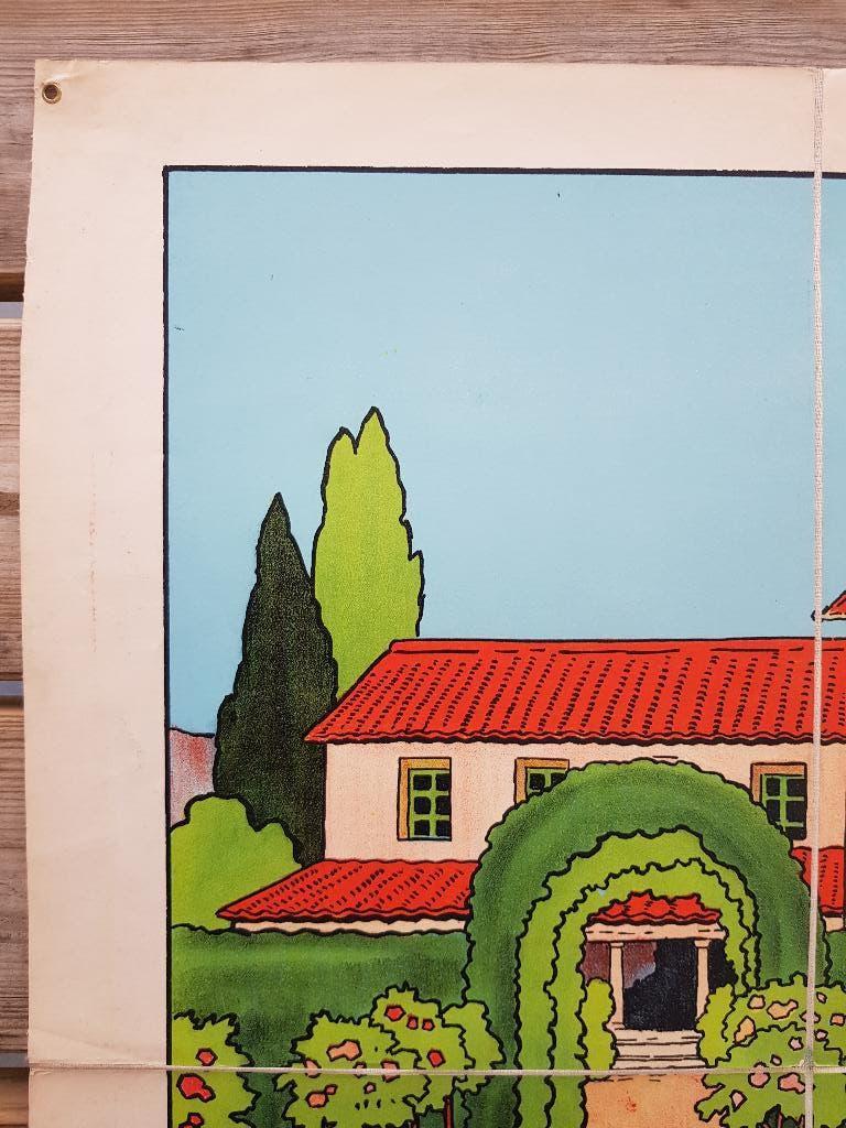 Druivenpluk oude schoolplaat uit Frankrijk litho op canvas., Ophalen of Verzenden