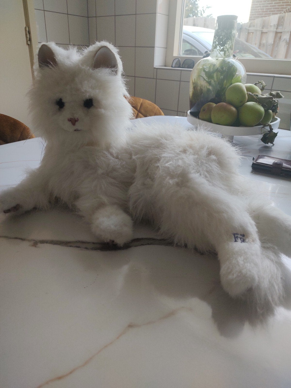 dementie poes, Ophalen, Gebruikt