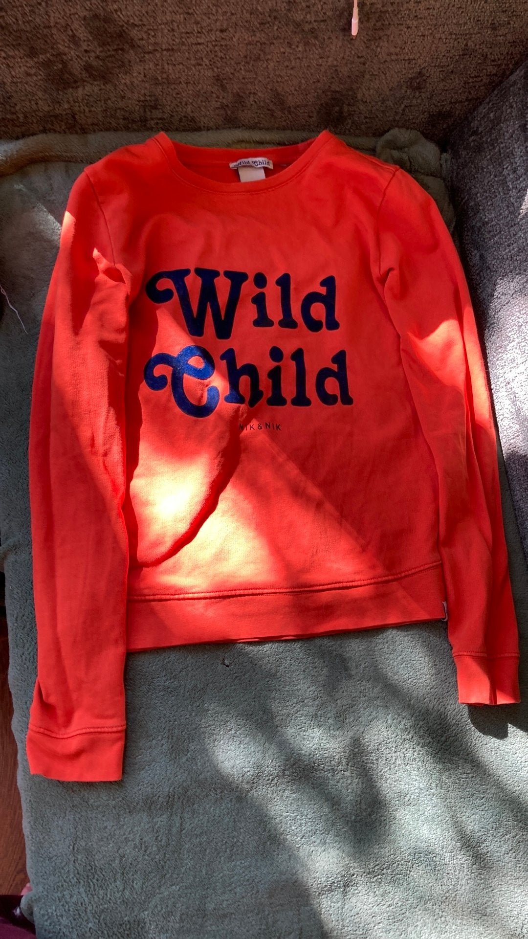 Wild child nik en nik trui, Kinderen en Baby's, Kinderkleding | Maat 158, Ophalen of Verzenden, Zo goed als nieuw, Meisje, Trui of Vest
