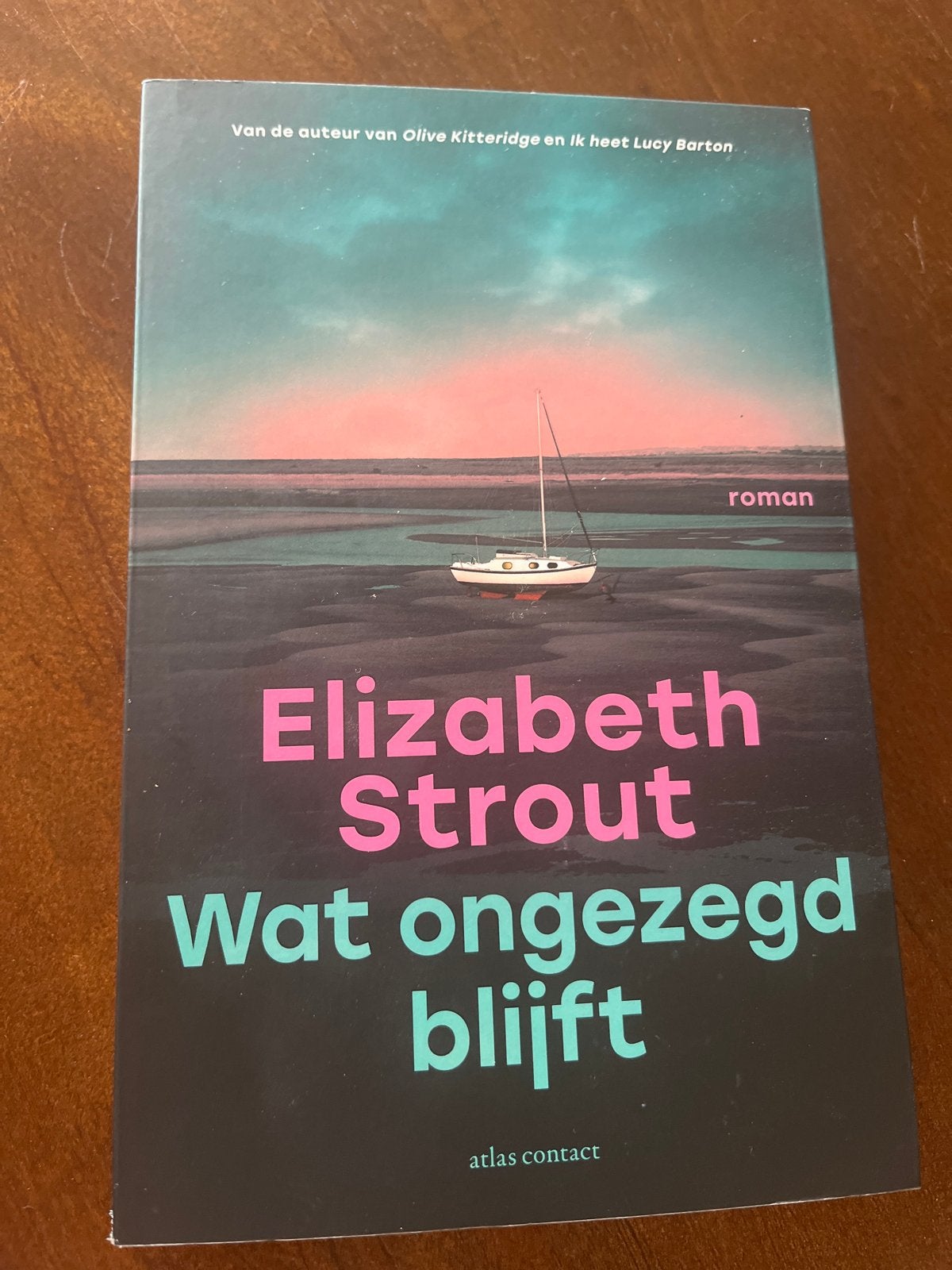 Wat Ongezegd Blijft - Elizabeth Strout (roman), Boeken, Ophalen of Verzenden, Gelezen