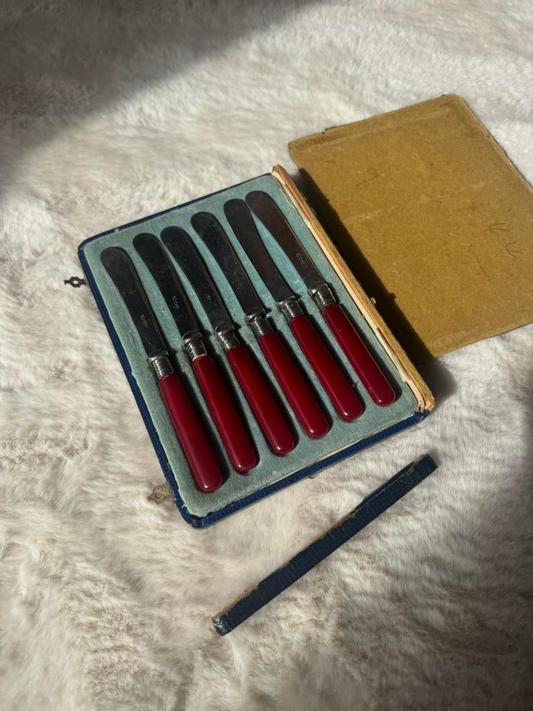 Vintage bestek caseyte is stuk, Ophalen of Verzenden, Zo goed als nieuw, Rvs of Chroom