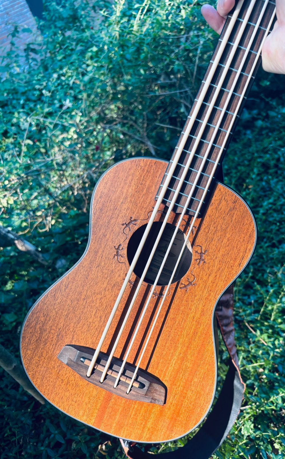 Ortega Ukelele Bass Lizzy BS-GB - sem-ak  met tuner, Ophalen, Zo goed als nieuw, Semi-akoestisch