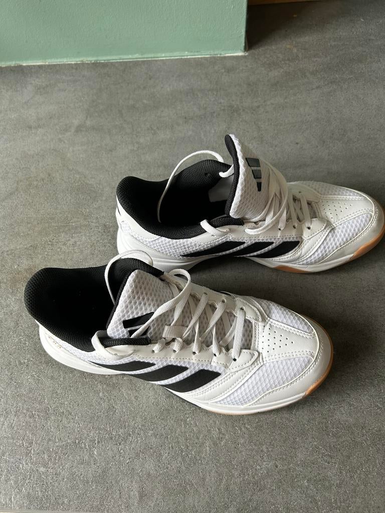 Adidas squash schoenen maat 41 1/3, Sport en Fitness, Ophalen of Verzenden, Zo goed als nieuw