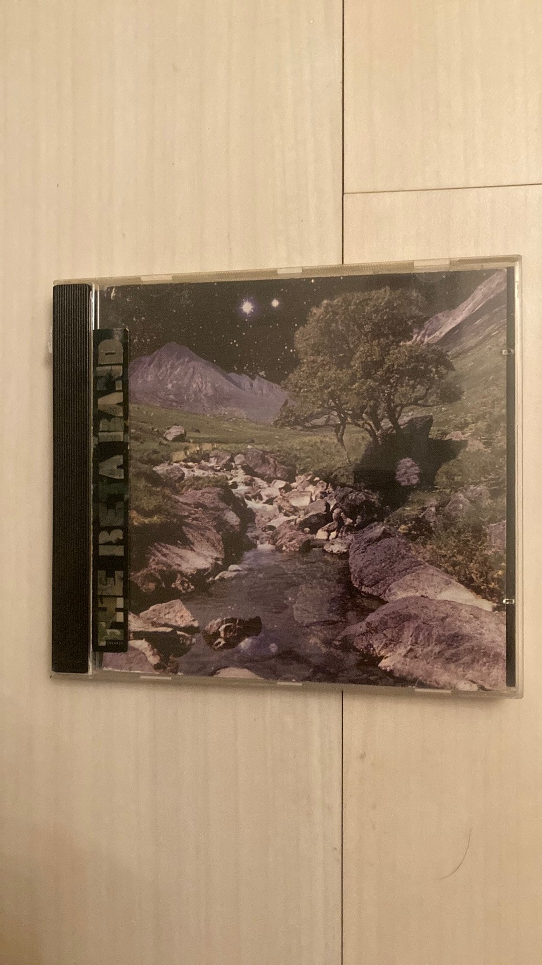 The Beta Band - the beta band (rock,experimental,leftfield), Ophalen of Verzenden, Gebruikt, Overige genres