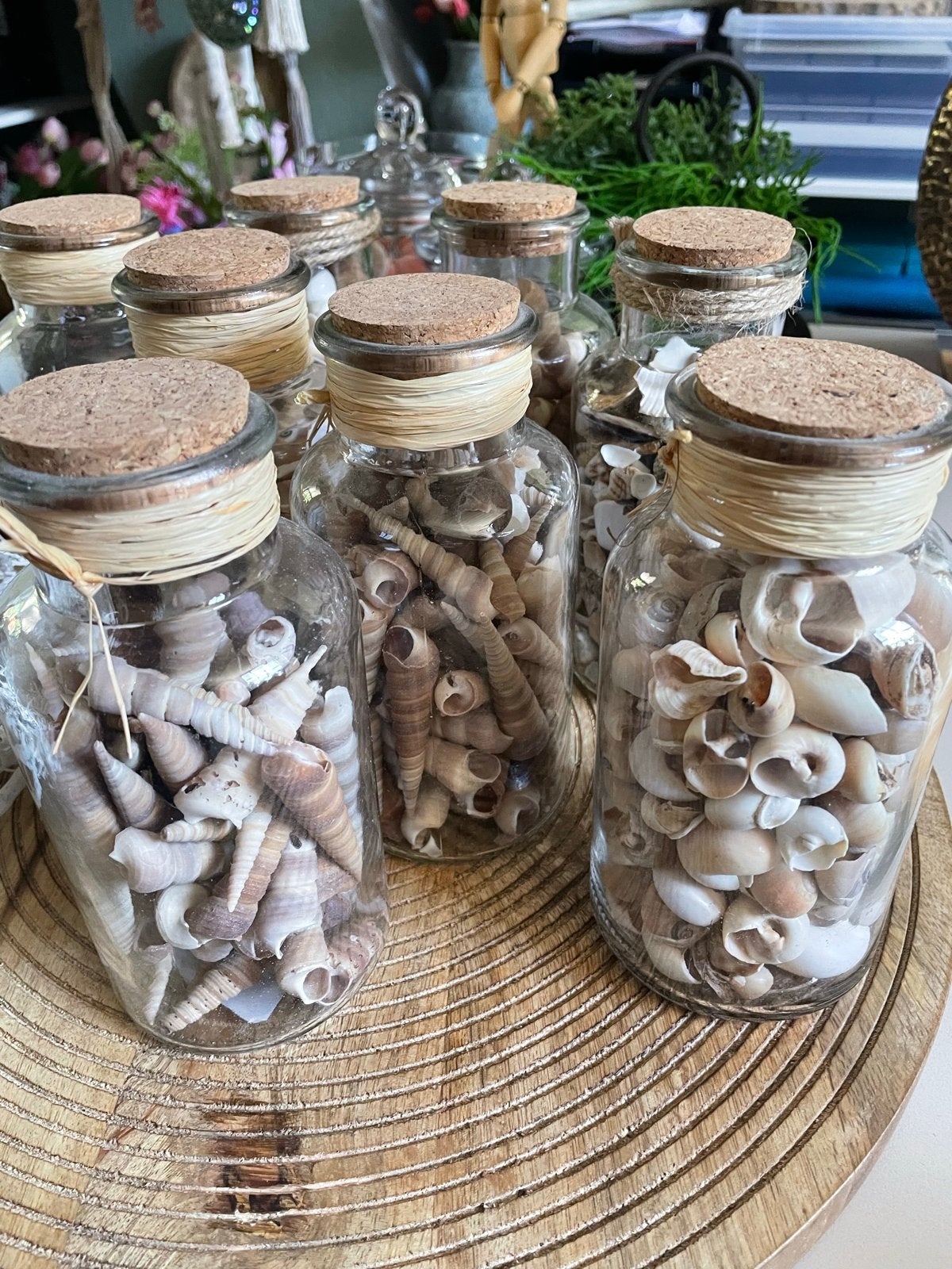 8 glazen potten met kurk en schelpen - decoratie/DIY, Ophalen, Gebruikt, Meerkleurig, Mediterraans