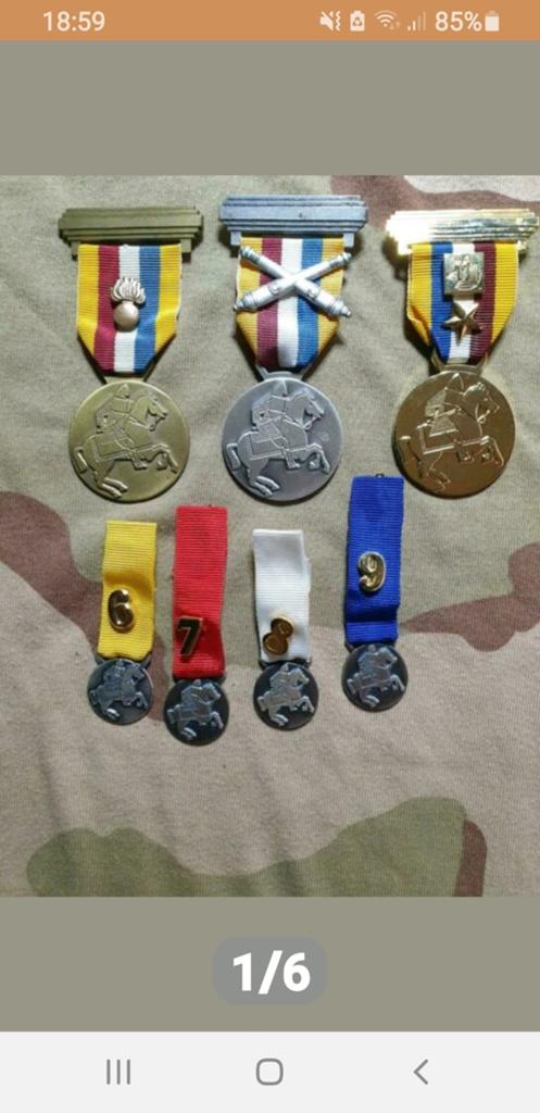 Komplete set luxenburse militare medailles, Verzenden, Landmacht, Nederland, Lintje, Medaille of Wings