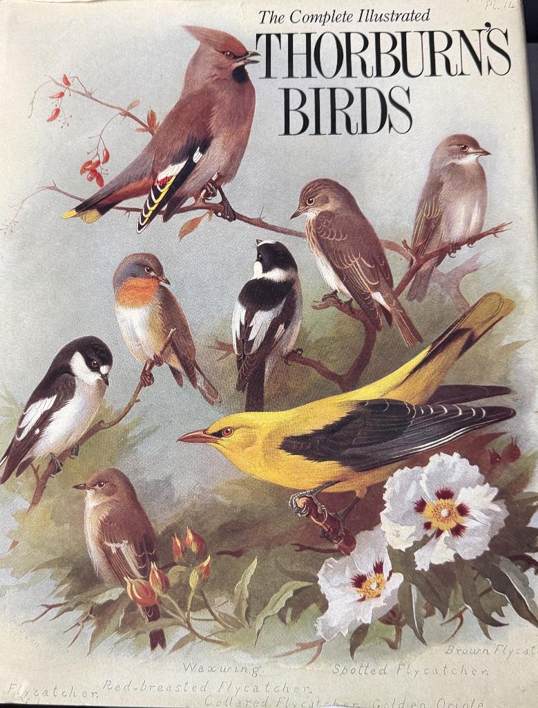 Complete Illustrated Thorburn's Birds Hardcover  Archibald, Verzenden, Gelezen, Schilder- en Tekenkunst